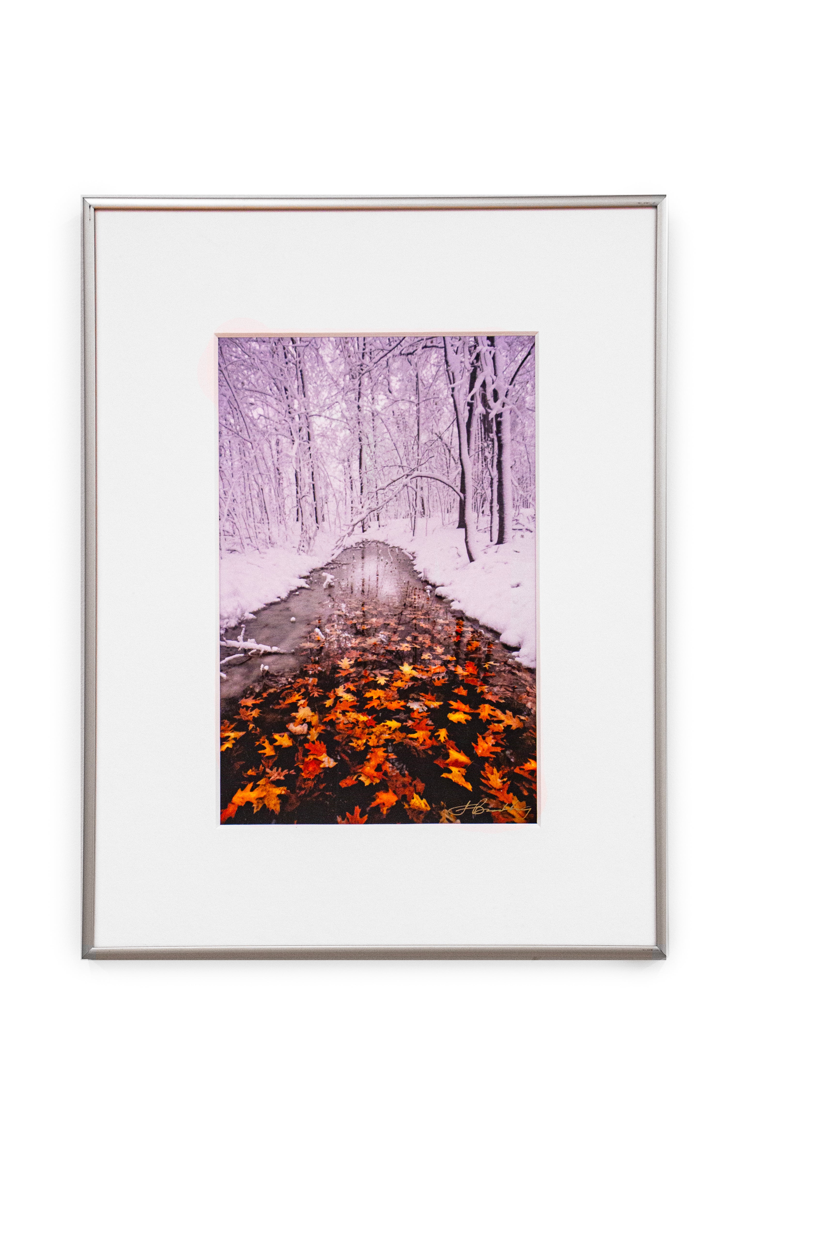 Autumn Passing - Brandenburg
