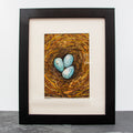 Anni Friesen - Robins Nest