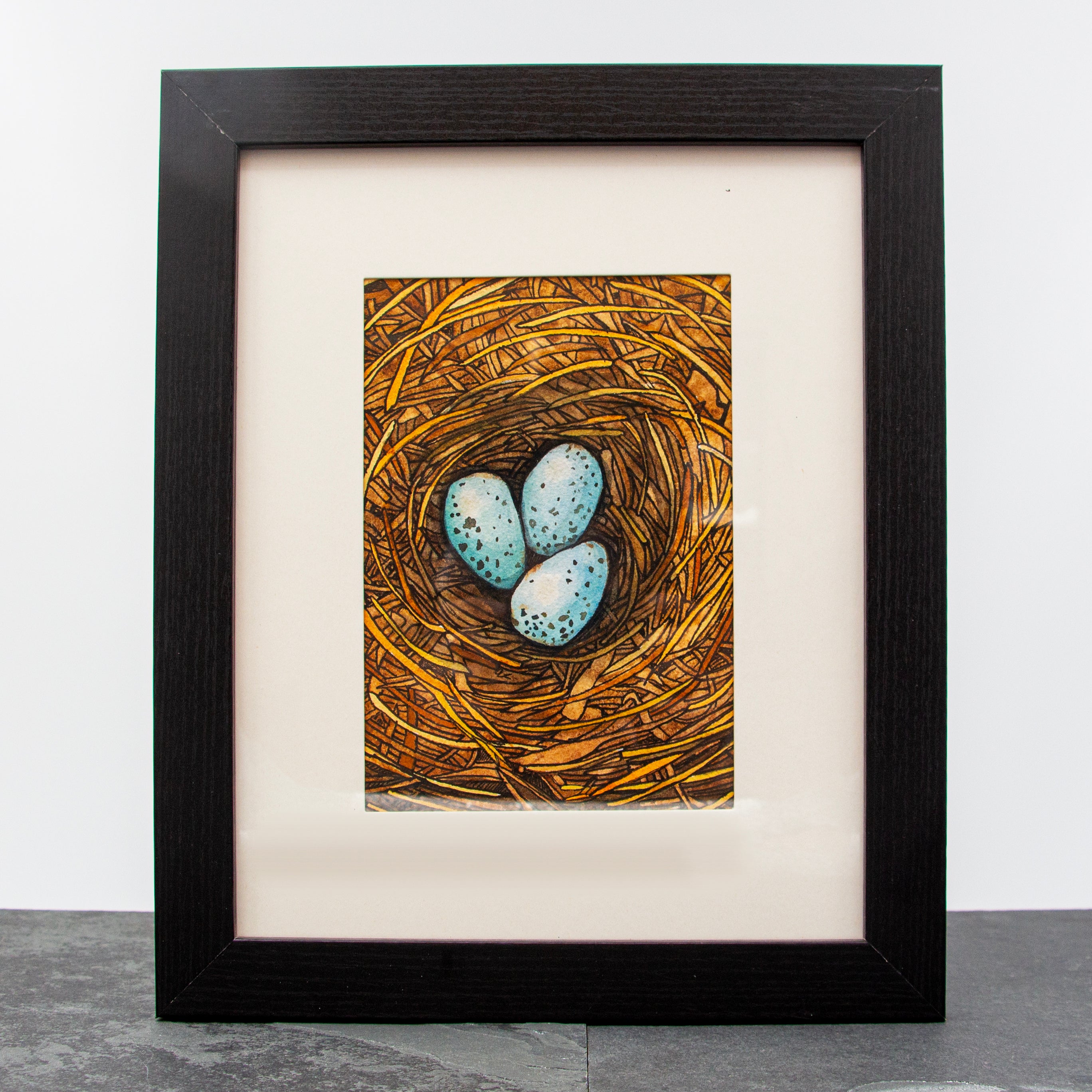 Anni Friesen - Robins Nest