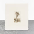 Hazel Belvo -Old Tree