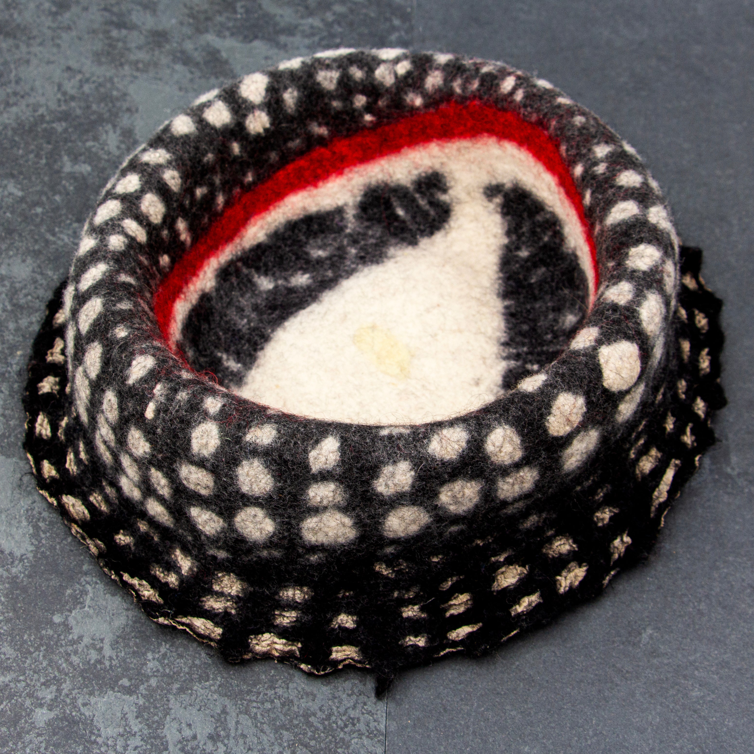 Elise Kyllo - Loon Bowl