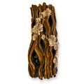 Jennifer Murphy - Symbiosis No. 13