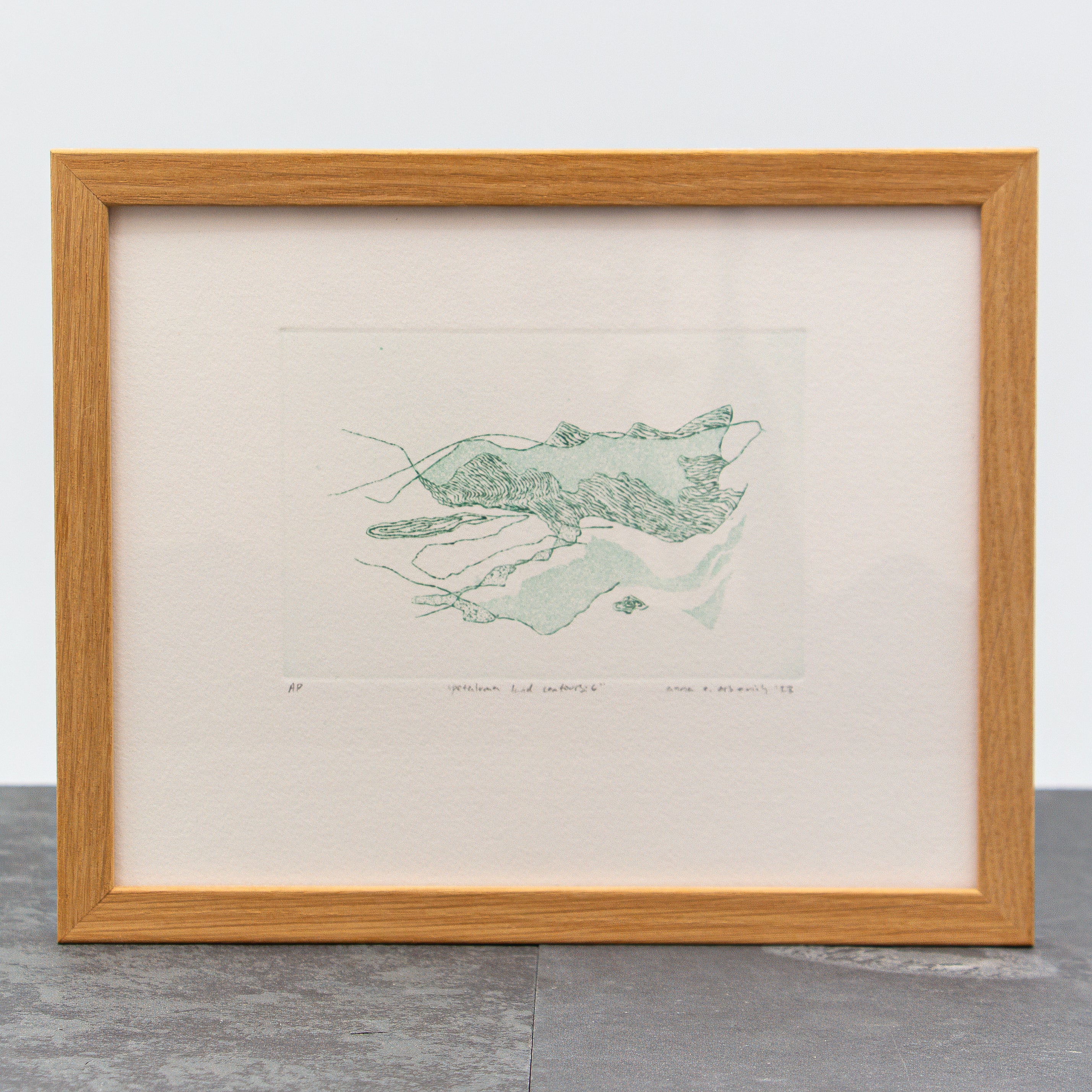 Petaluma land contours: 6 | Anna Orbovich