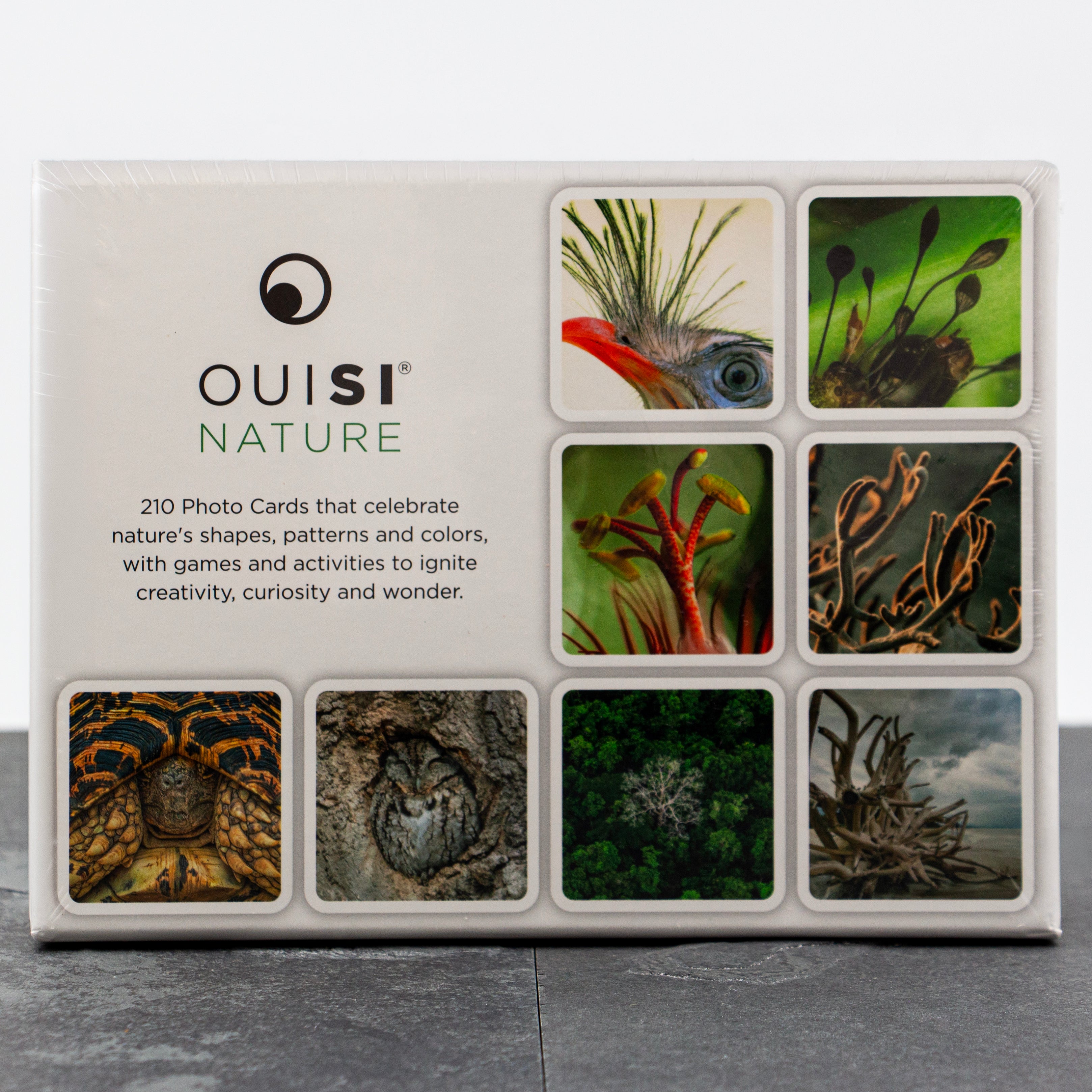 Ouisi: Games of Visual Connection
