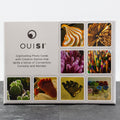 Ouisi: Games of Visual Connection