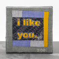 Shea Schachameyer - i like you