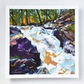 Swells + Flutter - Chester Creek Falls