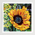 Swells + Flutter - Sunflowers