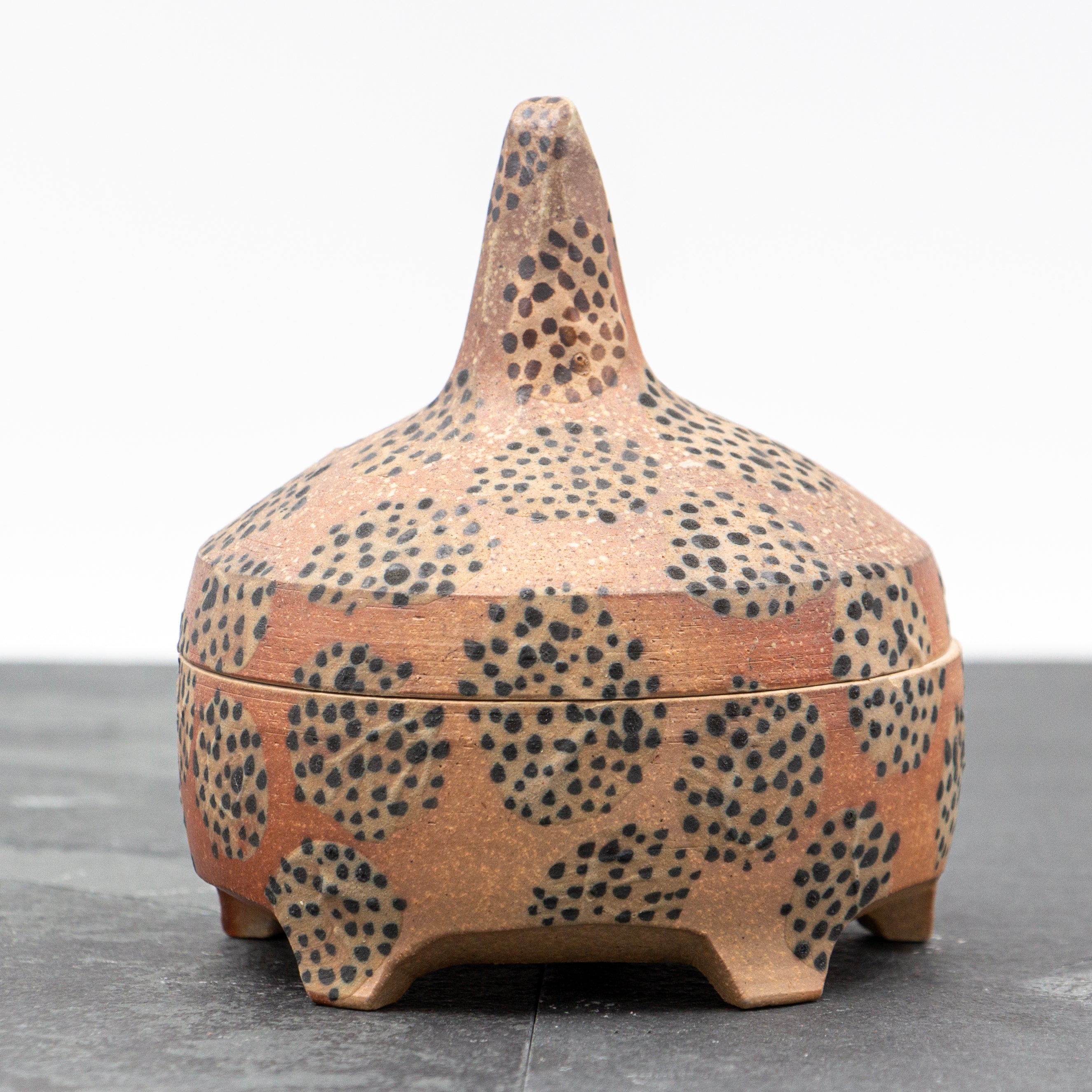Aleka Tomlinson - Spotted Jar