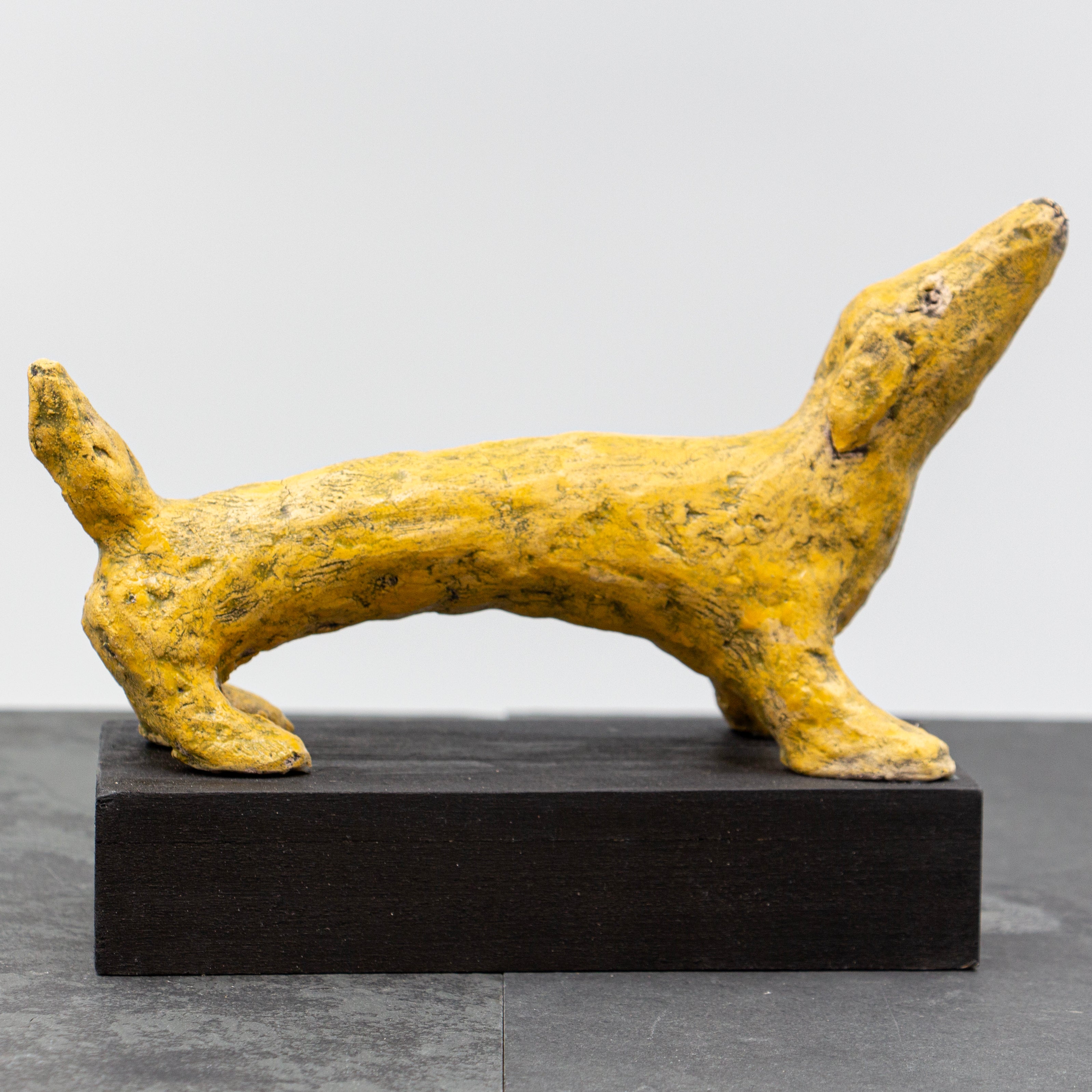 Judith Yourman - Dog